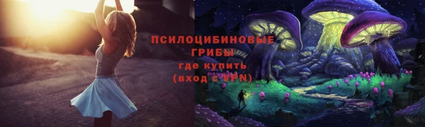 метадон Няндома