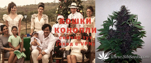 метадон Няндома