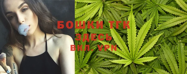 метадон Няндома