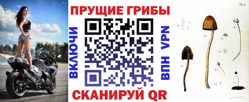 Псилоцибиновые грибы MAGIC MUSHROOMS  Похвистнево 