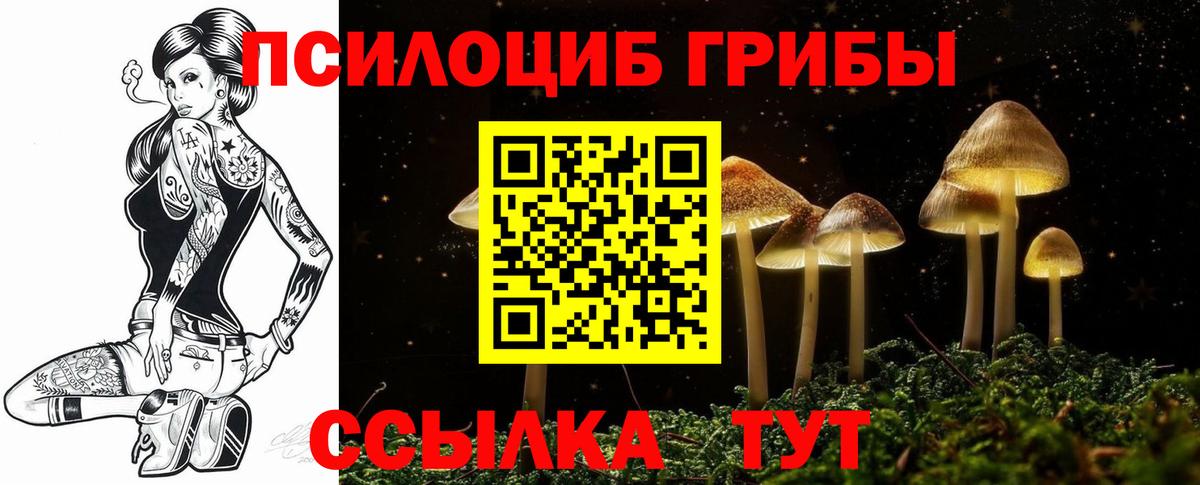 Псилоцибиновые грибы MAGIC MUSHROOMS Похвистнево