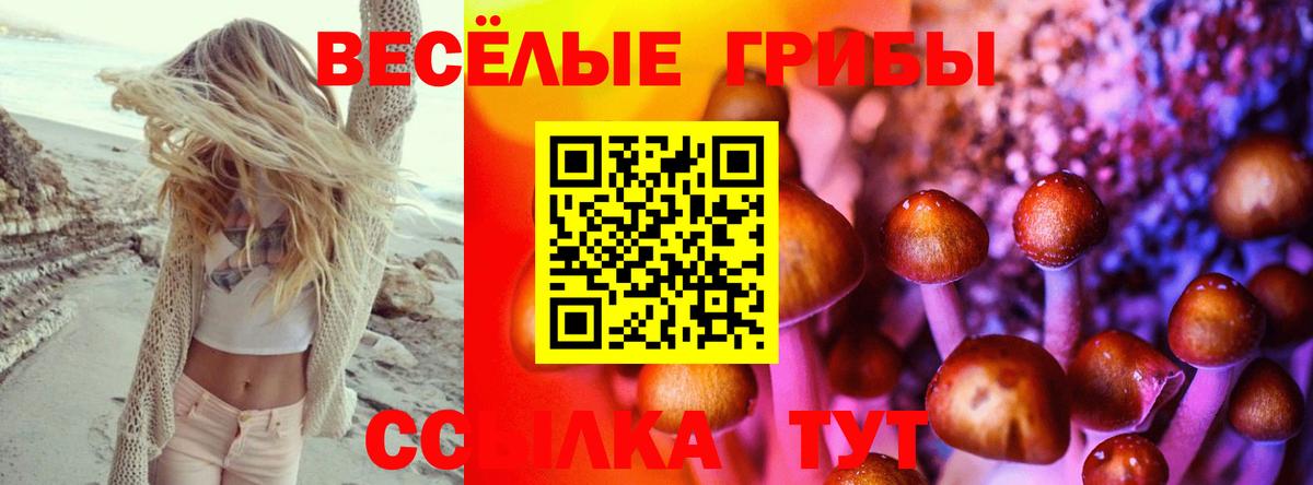 Похвистнево  Псилоцибиновые грибы мухоморы  Псилоцибиновые грибы Psilocybe  Вход с VPN 
